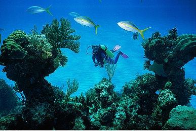 Xbox Series S版《索尼克：未知边境》只有低帧率